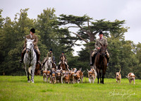 SCDH Rotherfield Hound Ex.  Aug 23